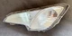 2018-2022 Ford EcoSport Driver Side Fog Light - OEM - GN1Z-13200-AE
