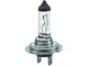 Hella 13DH47Q Cornering Light Bulb Fits 2009-2017 VW CC