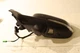 11 12 13 14 15 16 17 18 Volvo S60 Driver Left Power Mirror 18WIRE A550