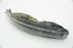 Rear Left Turn Signal Reverse Light Tail Lamp 4865489AD Dodge Viper 2004-05 Rear Left Turn Signal Reverse Light Tail Lamp 4865489AD Dodge Viper 2004-05