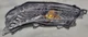 2015-2017 Toyota Camry LE/SE Left Front Drivers Side Signal Light NEW IN BOX/PKG