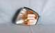 Parking Light TYC 18-5924-00