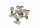 Genuine GM Multi-Purpose Light Bulb 09417866