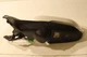 11 12 13 14 15 16 17 18 Volvo S60 Driver Left Power Mirror 18WIRE A551