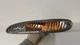 93+ Mazda Rx7 RX-7 Turn Signal Light Oem Left Side FD FD3S
