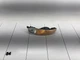 01-06 GMC YUKON XL 1500 FRONT LEFT BUMPER SIDE MARKER LIGHT LAMP OEM