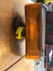 1989 1990 1991 1992 1993 1994 Ford Ranger Bronco Or Explorer 