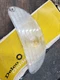 NOS 1955 Chevrolet Car GM # 5945859 Parking Light Lenses 