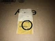 GM OEM NOS 1953-62 Corvette C1 Parking Lamp Door Chrome Bezel