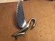 1930&rsquo;s Packard Shawn Hood Ornament GEM Nice 1949-51 Ford Accessory?? 