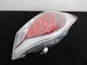 2011-2015 HYUNDAI SONATA RIGHT RH PASSENGER TAIL LIGHT QUARTER PANEL OEM