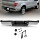 For 09-2014 Ford F150 w/Parking Assist Sensor Hole Chrome Rear Bumper Assembly