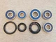 Honda VTR250 Interceptor 1988-1989 Front and Rear Wheel Bearings And Seals