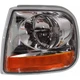 FO2520170 Fits 2001-2003 Ford F-150 Driver Side Signal Light
