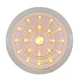 1947-48 Ford Car,1942-1947 Ford Truck Clear Front Parking Lights 21 LED Per side
