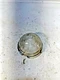 NOS 1950 Chevrolet Parking Lamp Lens GM 5939299 Guide Glass Original