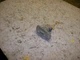 2005 Scion XB Front Right Marker Light